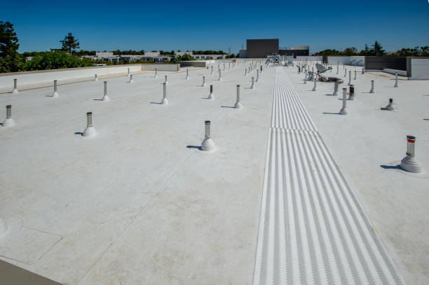 Best Roof Coating and Sealing  in Southwest Sandhill, TX